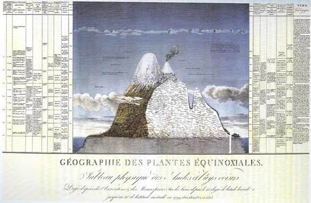 Ensayo sobre las plantas