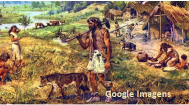 Técnicas de plantio e criação