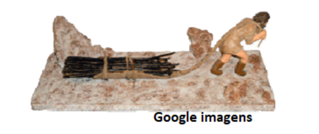 Surgimento dos  meios de transportes