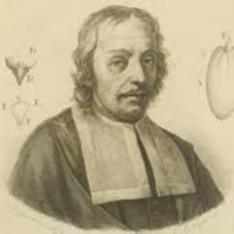 Muere Marcello Malpighi