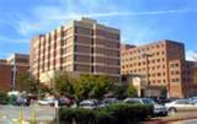 Born in Washington D.C.