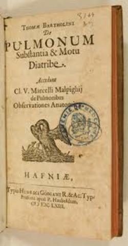 Marcello escribió Tratado De Pulmonibus