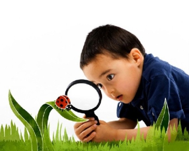 Psicología del Aprendizaje. Bruner