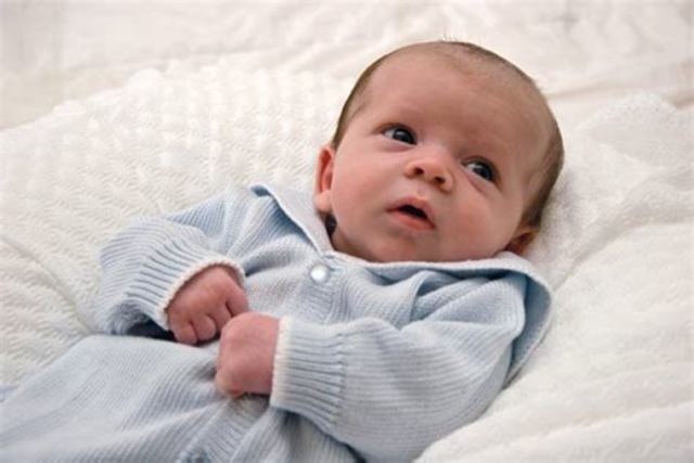 Primeros meses de vida