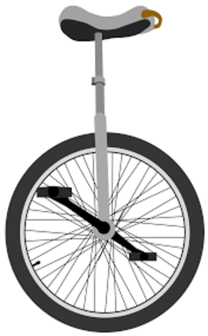 The Unicycle