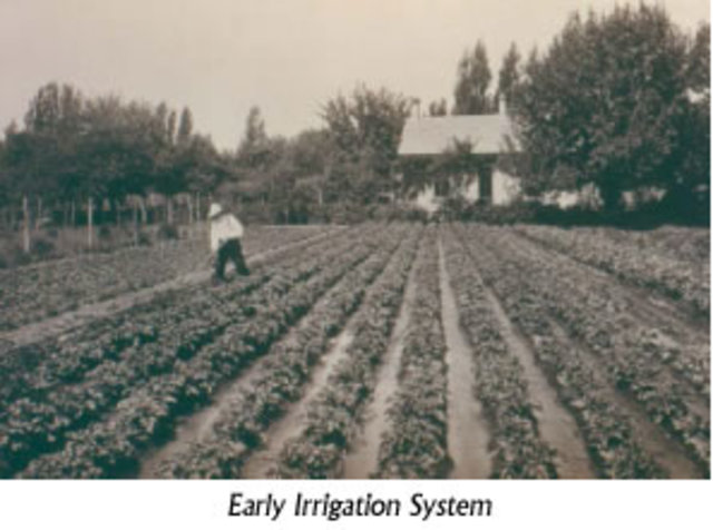 Improved Irrigation