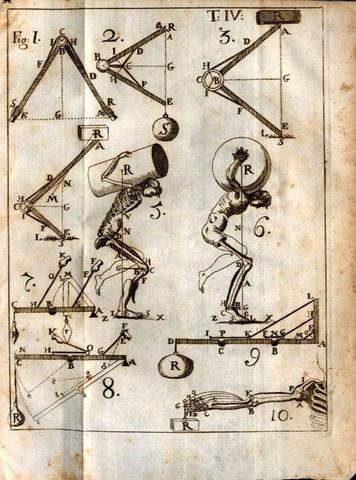 Giovanni Alfonso B."Las aves"