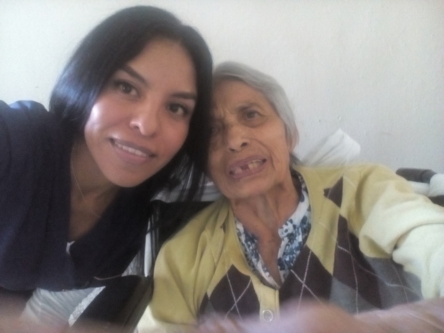 Metas y áreas a desarrollar