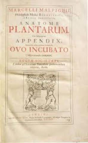 Publicación de las cartas con la investigación de Malpighi.