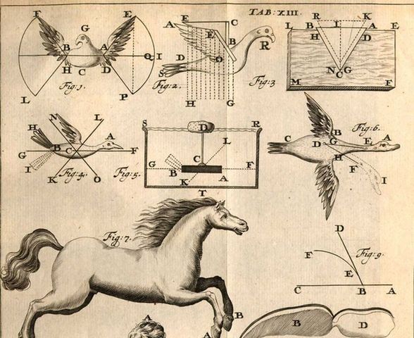 Publicación de “Sobre el movimiento de los animales”