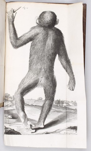 Se estableció el lugar de los seres humanos.