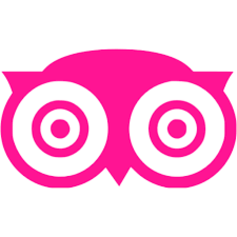 Tripadvisor toma fuerza