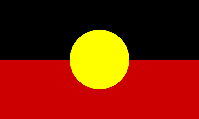 The Indigenous flag