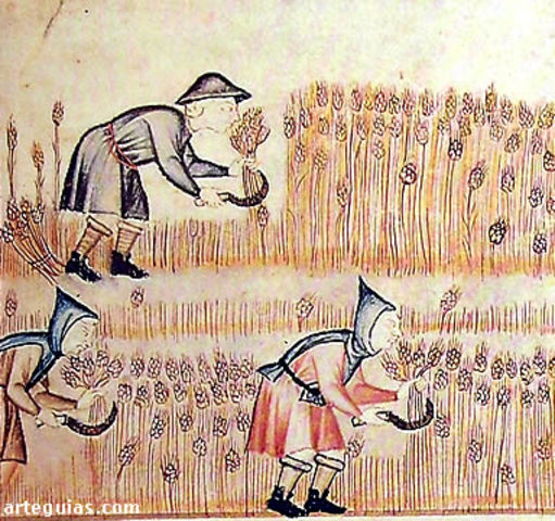 Agriculrtura en la edad media