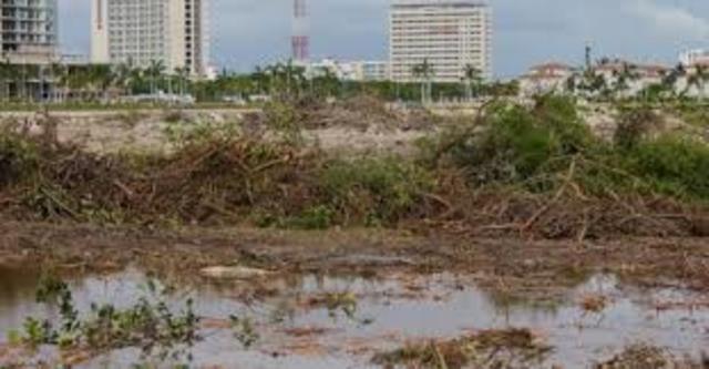 CAMBIO DE USO DE SUELO