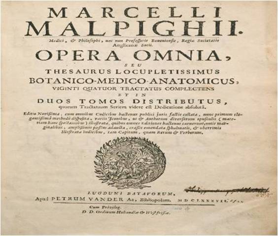 Marcello Malpighi