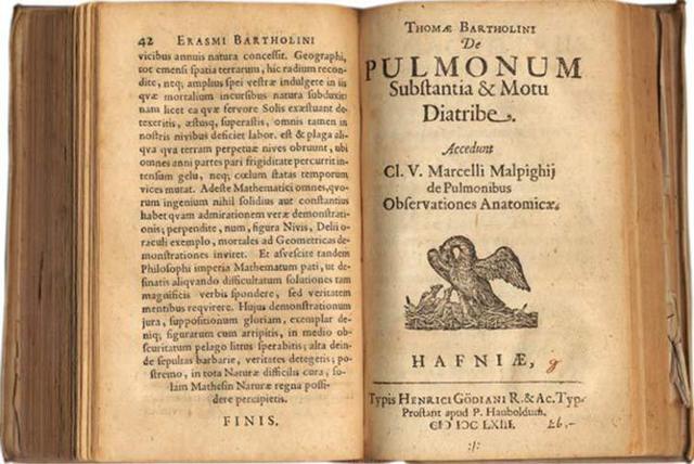 De Pulmonibus.