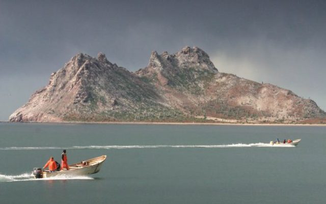 Cuando estaba en secundaria fui a la isla del tiburon.