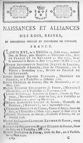 Five man Directory and Two-house Legislature