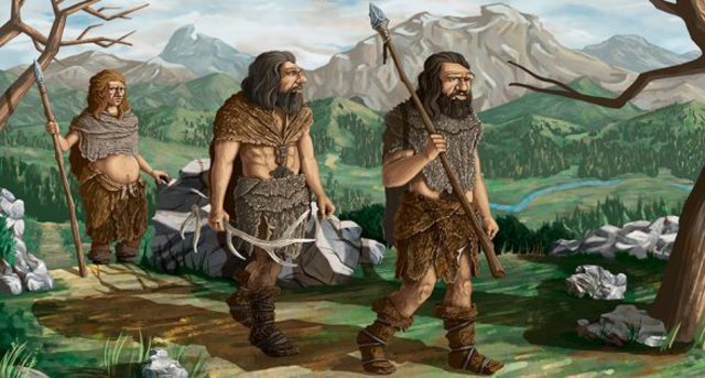 Evolução nas ferramentas  de caça e defesa