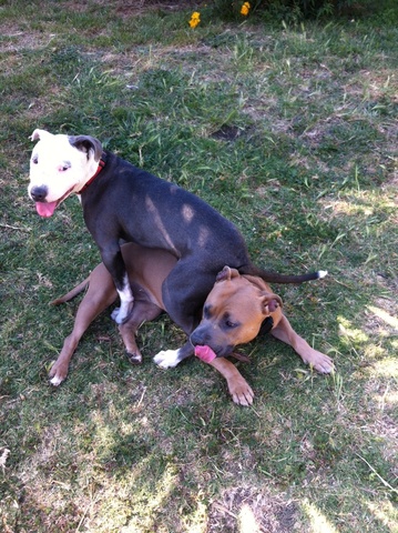 Hobbies and Interests