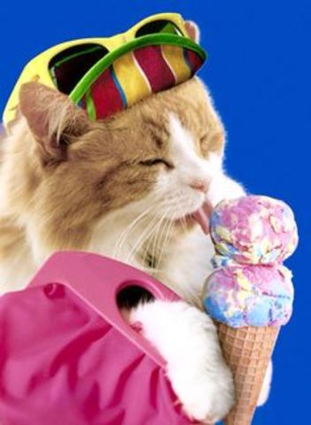 Origins of Ice cream