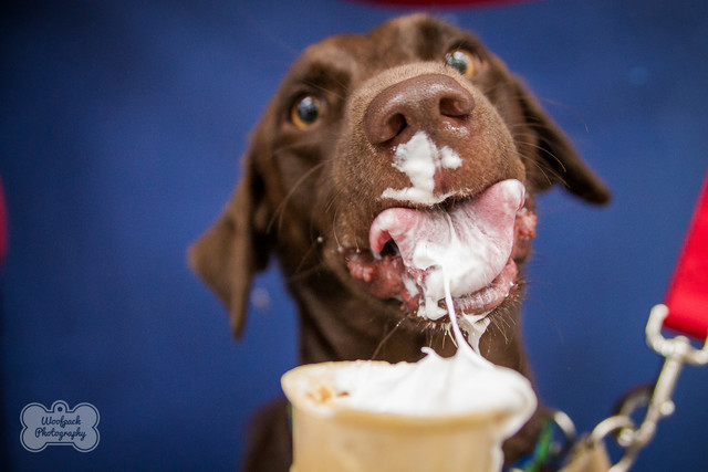 Nancy Johnson and William Young - Hand-Cranked Freezers