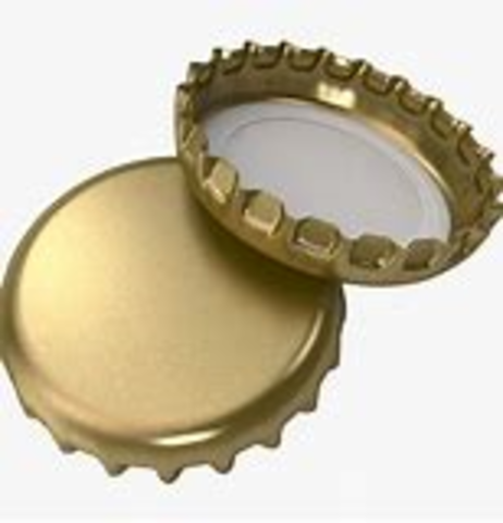 The soft drink bottling industry