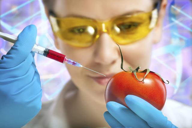 Modificación Genética