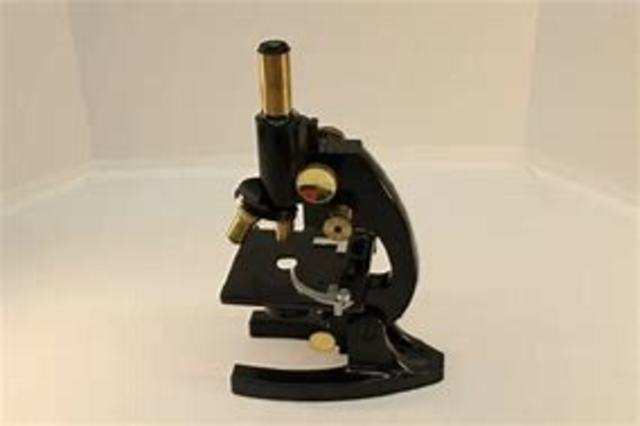 Power of the Electron Microscope