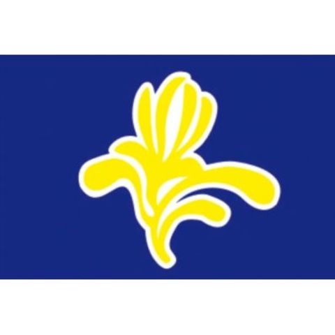 Création de Bruxelles capitale