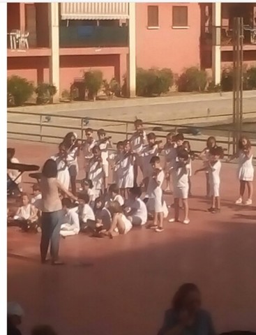 CLASSES VIOLÍ