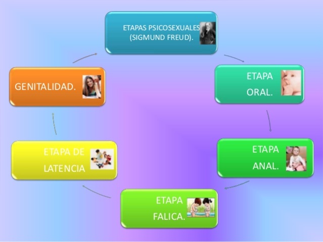 Etapas del desarrollo según Freud