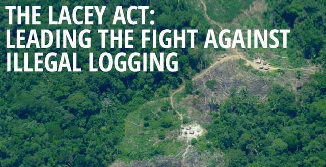 Lacey Act