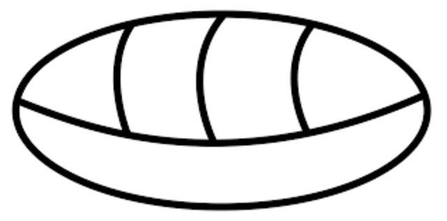 Antecedentes de los Mayas en las matemáticas.