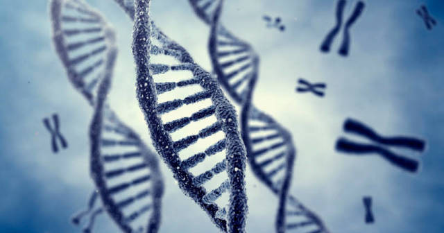 Tratamiento contra la leucemia