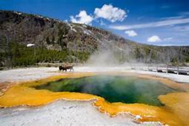 Yellowstone Park