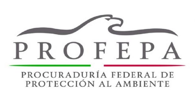 PROFEPA inspecciona