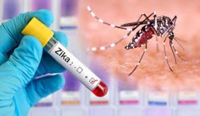 Zika in Brazil