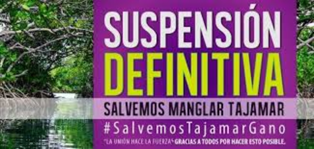 Suspensión definitiva