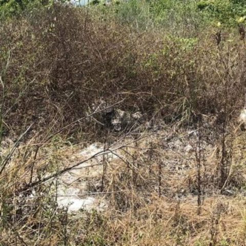 Tajamar, el malecon de todos y de nadie.