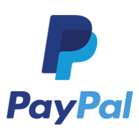 Paypal se convierte en el rey de los pagos