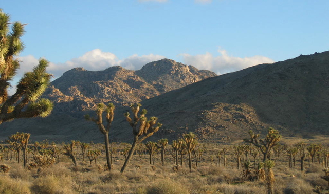 California Desert Protection Act of 1994