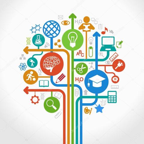 Termino "Objetos de conocimiento"