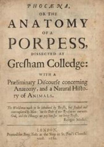 Anatomy of a Porpess