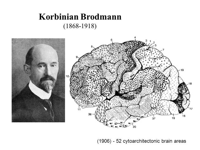 Korbinian Brodmann