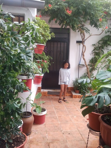 VAIG ANAR PER PRIMERA VEGADA AL MEU POBLE