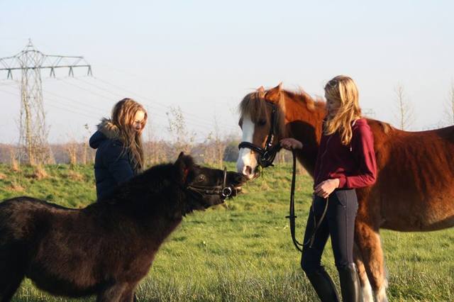 Gestopt met paardrijden