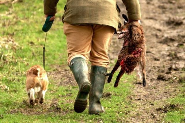 Major Events of 2004