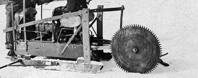 Sierra Circular,Tabitha Babbitt